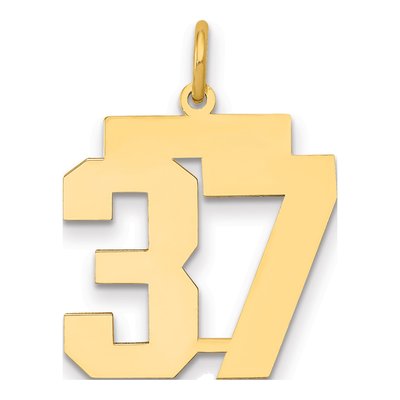 14K Yellow Gold Number 37 Charm