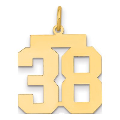 14K Yellow Gold Number 38 Charm