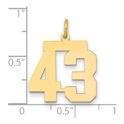 14K Yellow Gold Number 43 Charm – view 2