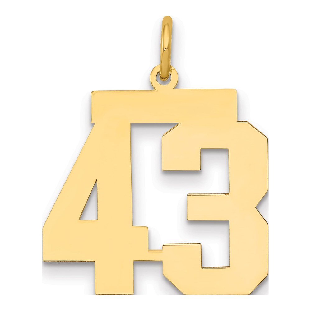 14K Yellow Gold Number 43 Charm