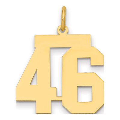 14K Yellow Gold Number 46 Charm
