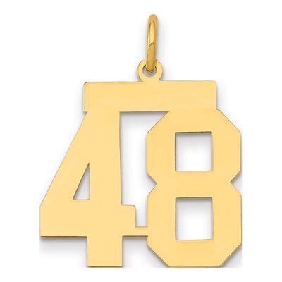 14K Yellow Gold Number 48 Charm