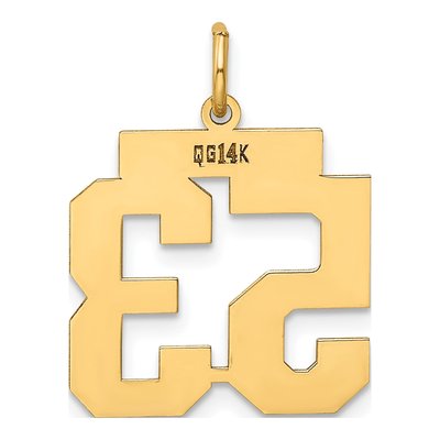 14K Yellow Gold Number 53 Charm – view 3