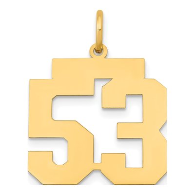 14K Yellow Gold Number 53 Charm