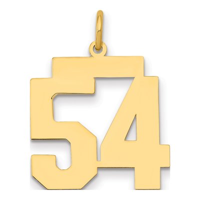 14K Yellow Gold Number 54 Charm
