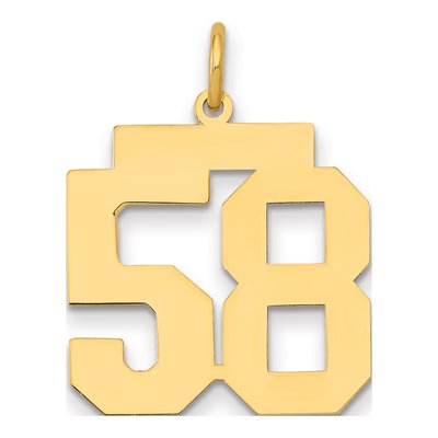 14K Yellow Gold Number 58 Charm