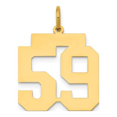 14K Yellow Gold Number 59 Charm