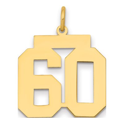 14K Yellow Gold Number 60 Charm