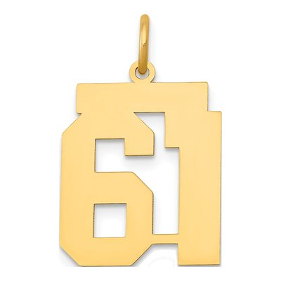14K Yellow Gold Number 61 Charm