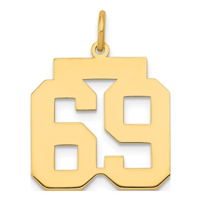 14K Yellow Gold Number 69 Pendant