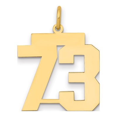 14K Yellow Gold Number 73 Charm
