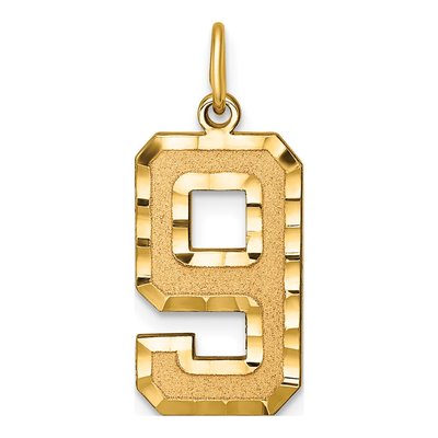 14K Yellow Gold Number 9 Charm