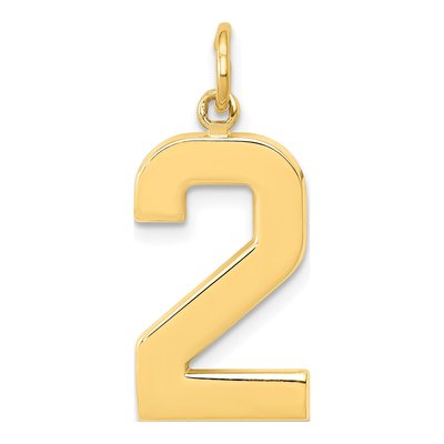 14K Yellow Gold Large Number 2 Charm