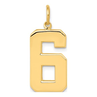 14K Yellow Gold Large Number 6 Charm