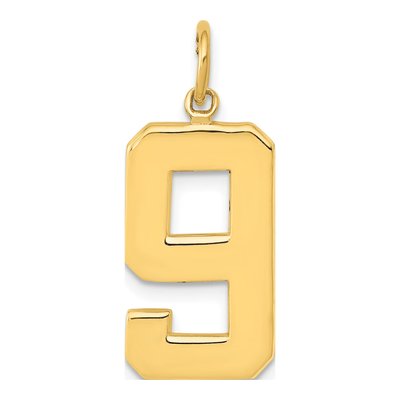 14K Yellow Gold Large Number 9 Charm