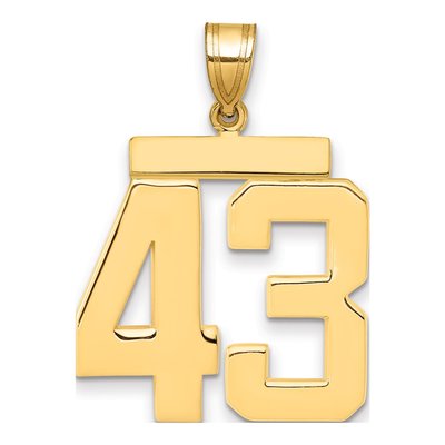 14K Yellow Gold Large Number 43 Pendant