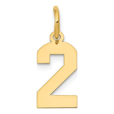 14K Yellow Gold Small Number 2 Pendant