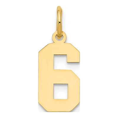 14K Yellow Gold Number 6 Charm