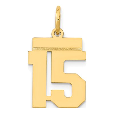 14K Yellow Gold Small Number 15 Charm
