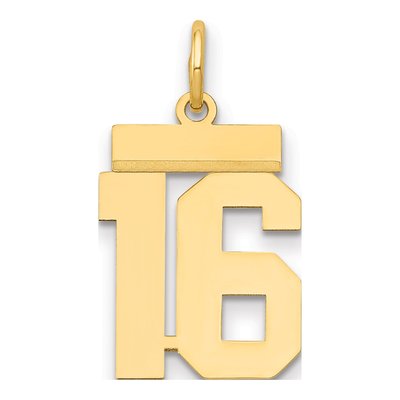 14K Yellow Gold Small Number 16 Charm