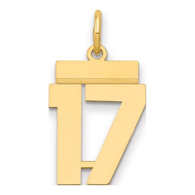 14K Yellow Gold Small Number 17 Charm