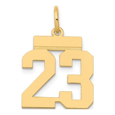 14K Yellow Gold Number 23 Charm
