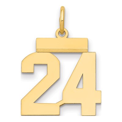 14K Yellow Gold Small Number 24 Charm