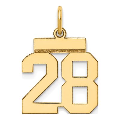 14K Yellow Gold Number 28 Charm