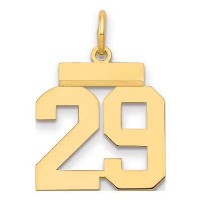 14K Yellow Gold Small Number 29 Charm