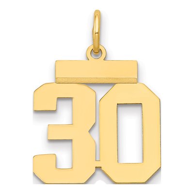 14K Yellow Gold Small Number 30 Charm