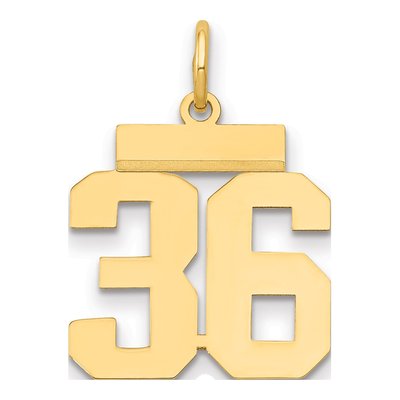 14K Yellow Gold Number 36 Charm