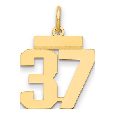 14K Yellow Gold Small Number 37 Pendant