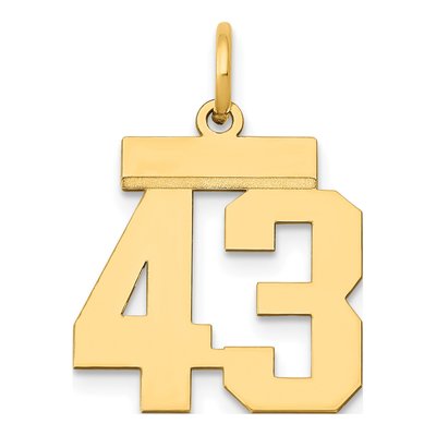 14K Yellow Gold Small Number 43 Charm