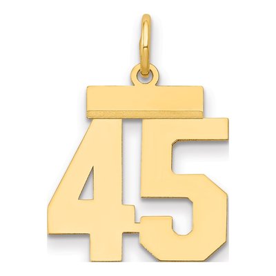 14K Yellow Gold Number 45 Charm