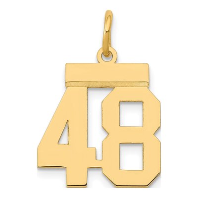 14K Yellow Gold Small Number 48 Pendant