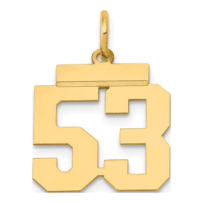 14K Yellow Gold Small Number 53 Pendant