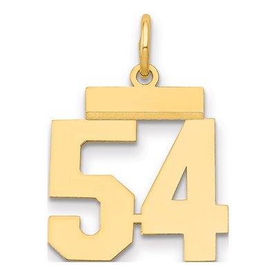 14K Yellow Gold Number 54 Charm