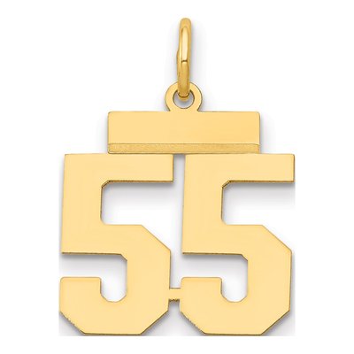 14K Yellow Gold Number 55 Charm
