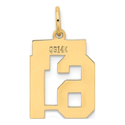 14K Yellow Gold Number 61 Charm – view 4