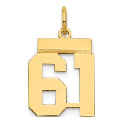 14K Yellow Gold Number 61 Charm