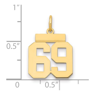 14K Yellow Gold Number 69 Charm – view 2