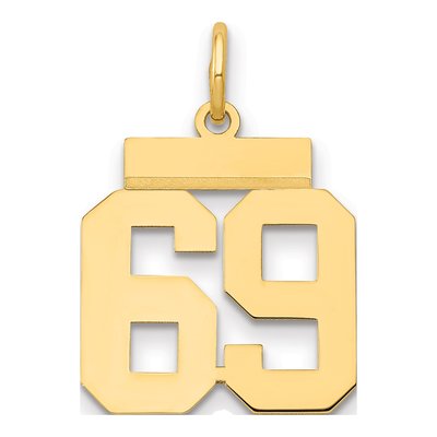 14K Yellow Gold Number 69 Charm