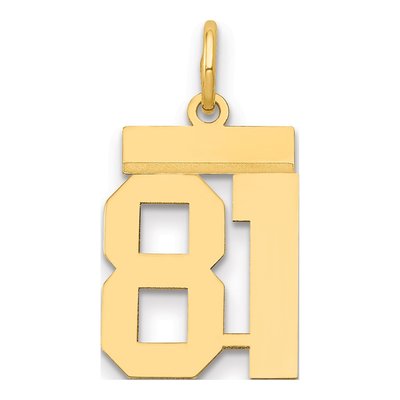 14K Yellow Gold Small Number 81 Charm
