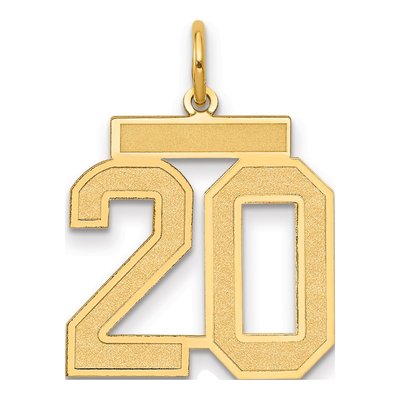 14K Yellow Gold Number 20 Charm