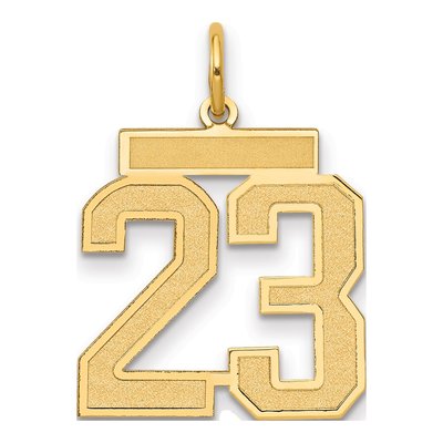 14K Yellow Gold Number 23 Charm