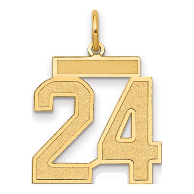 14K Yellow Gold Number 24 Charm