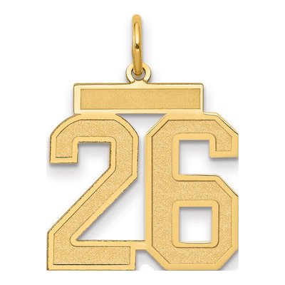 14K Yellow Gold Number 26 Charm