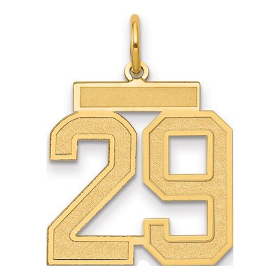 14K Yellow Gold Number 29 Pendant