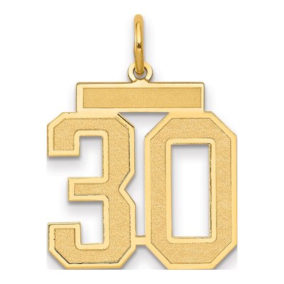 14K Yellow Gold Number 30 Charm