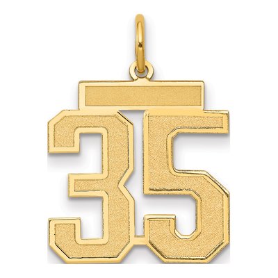 14K Yellow Gold Number 35 Charm
